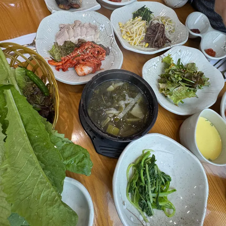 벽오동 사진 1