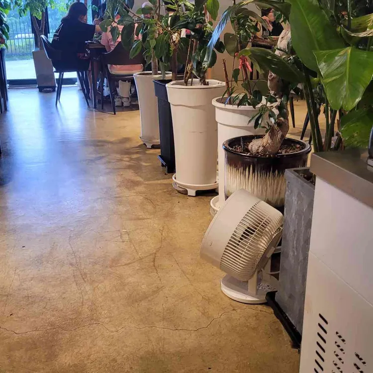 보약장어왕메기 대표 사진