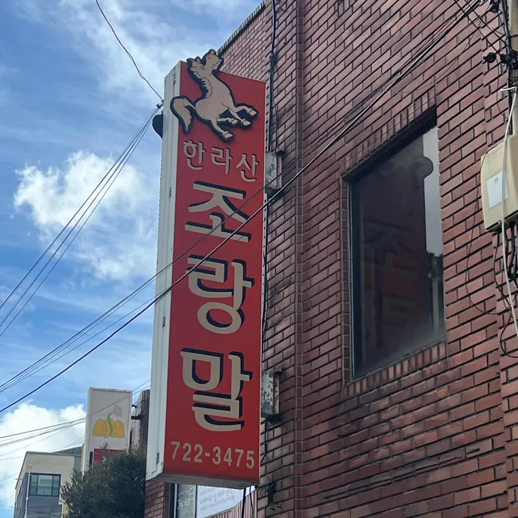 한라산조랑말 사진 1