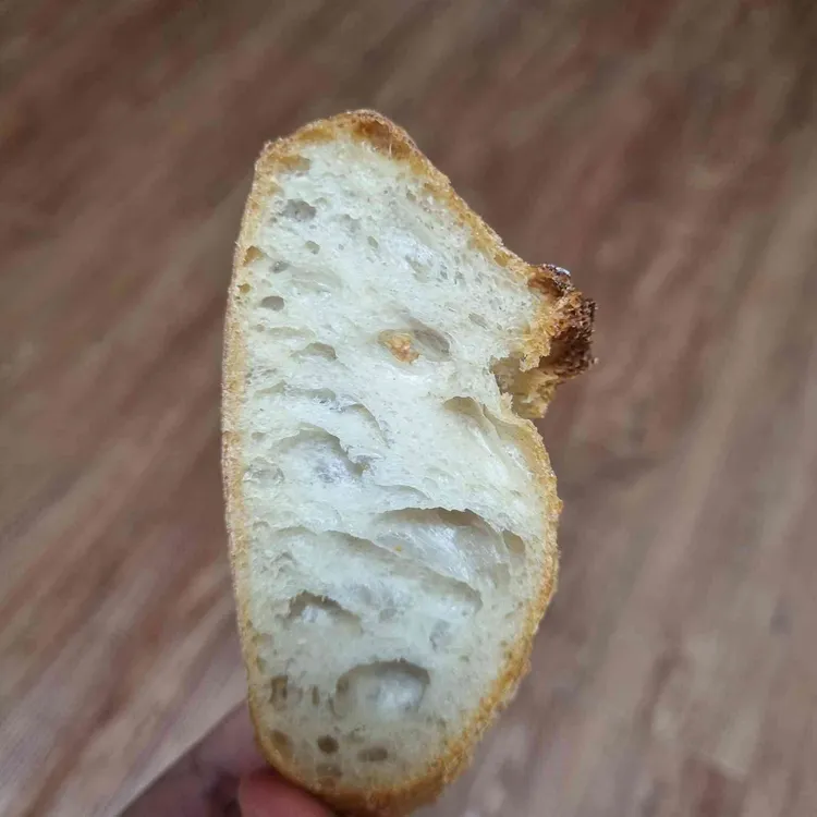 바가텔 사진 1