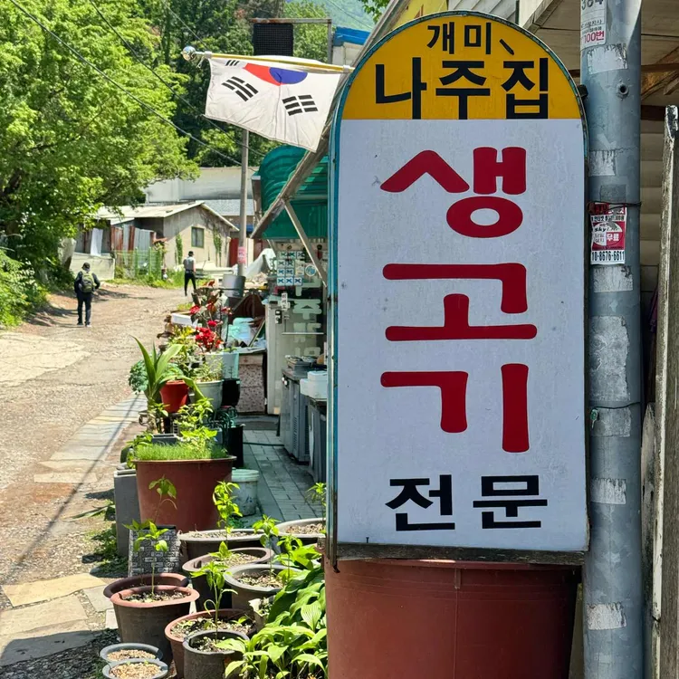 나주개미집 사진 2