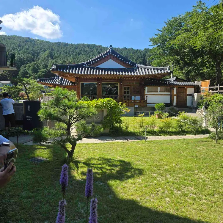 농도 사진