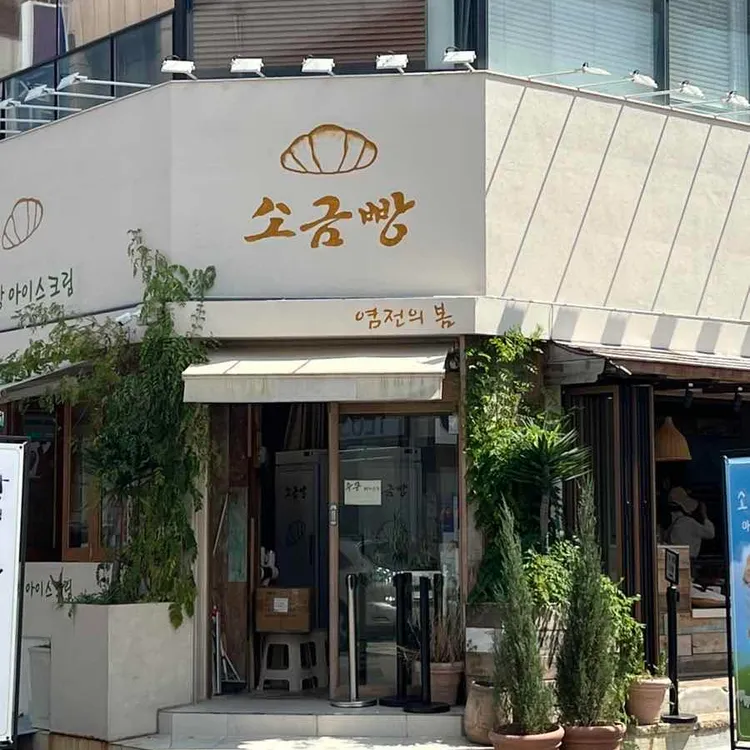 염전의봄 사진 1