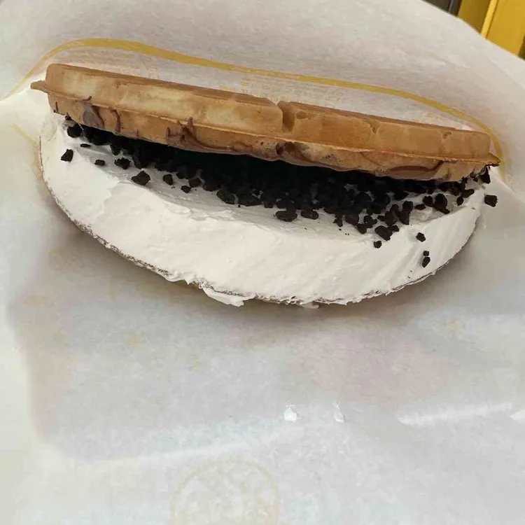 와플대학 사진 2
