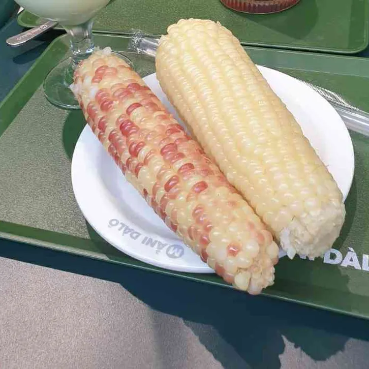 마니달오 사진 2
