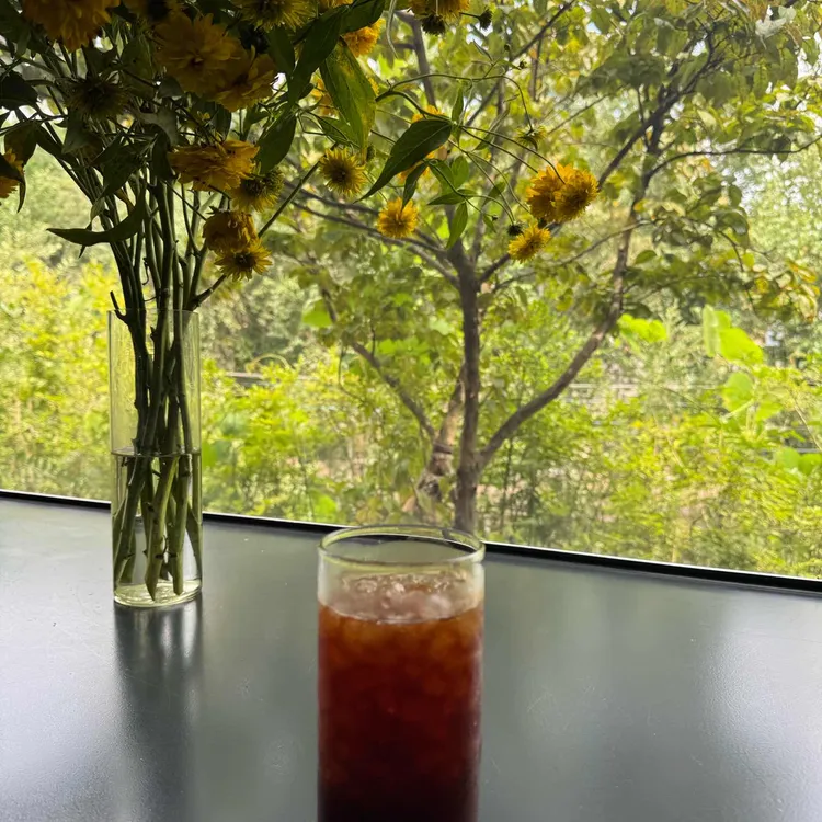 나무아래오후 사진