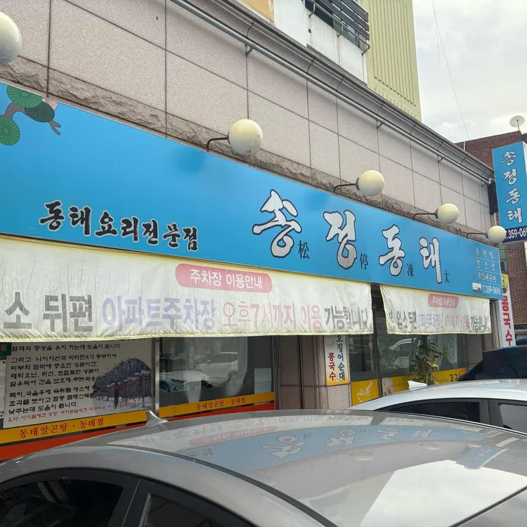 송정동태 사진 1