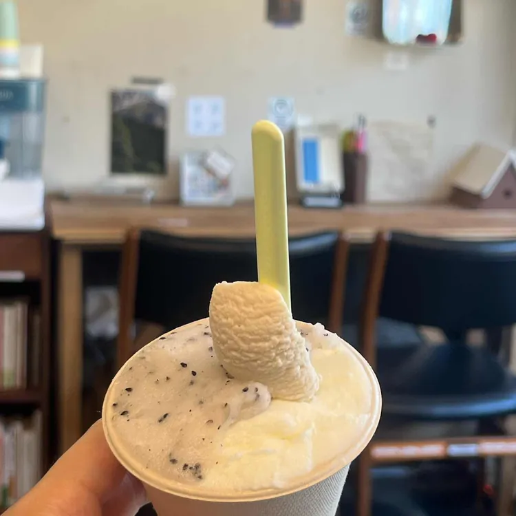 녹기 전에 낱점 사진