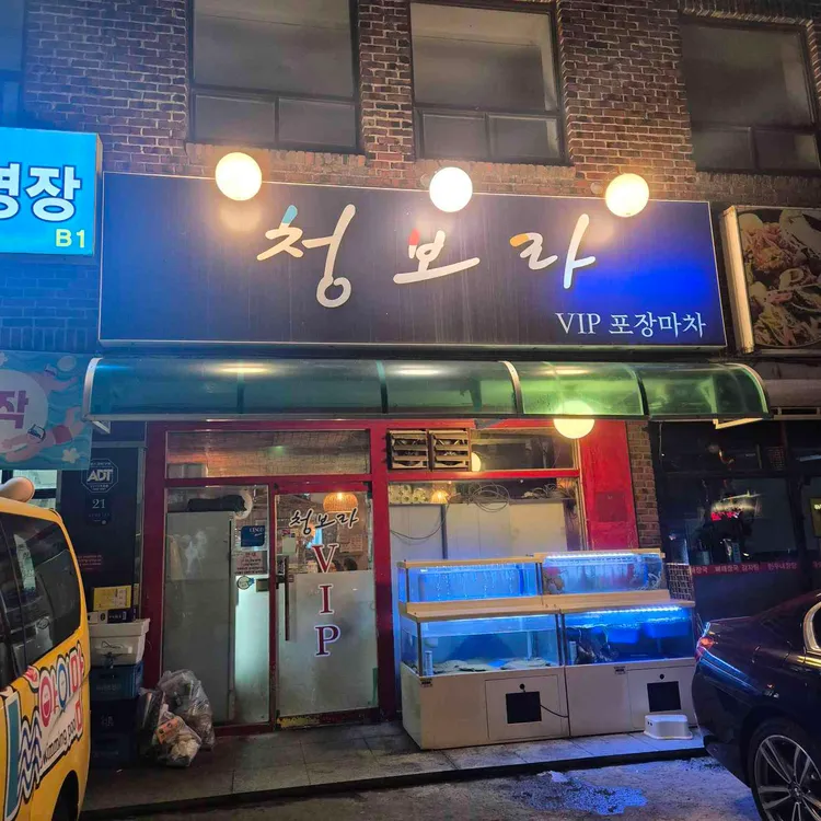 청보라 사진 1