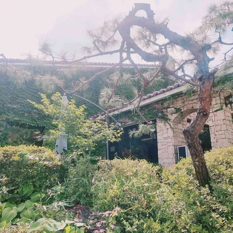 모이커피클래식 사진 2