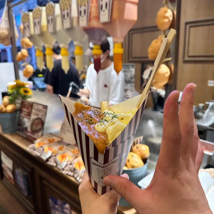 브뤼셀프라이 사진