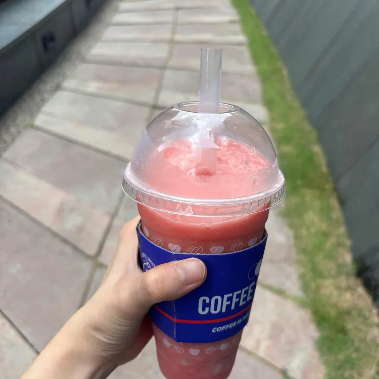 커피 사피엔스 사진 2