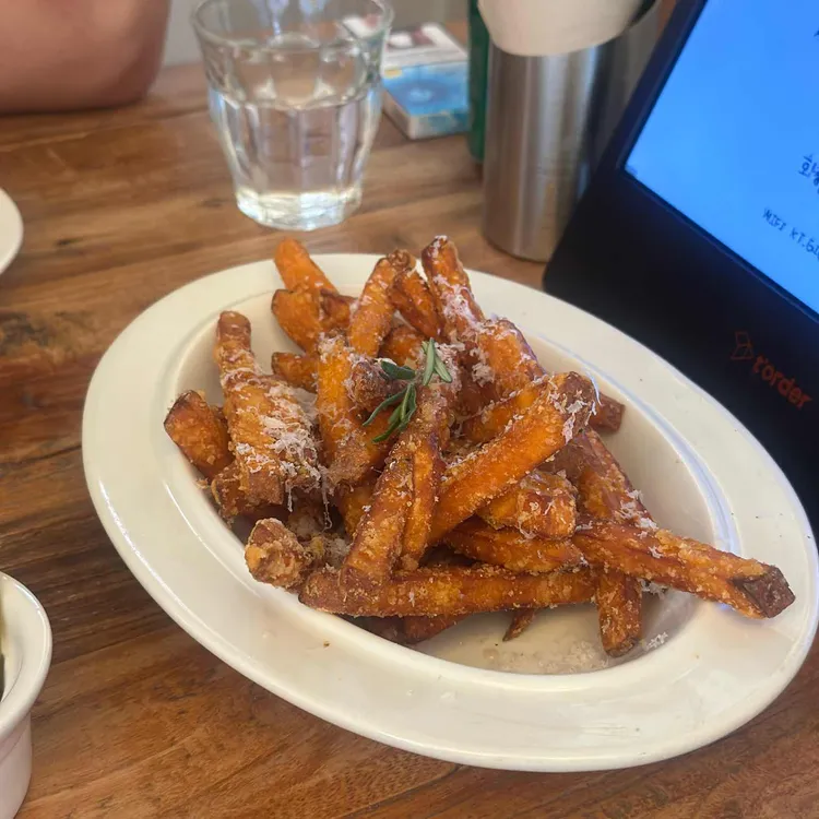 새들브라운 사진