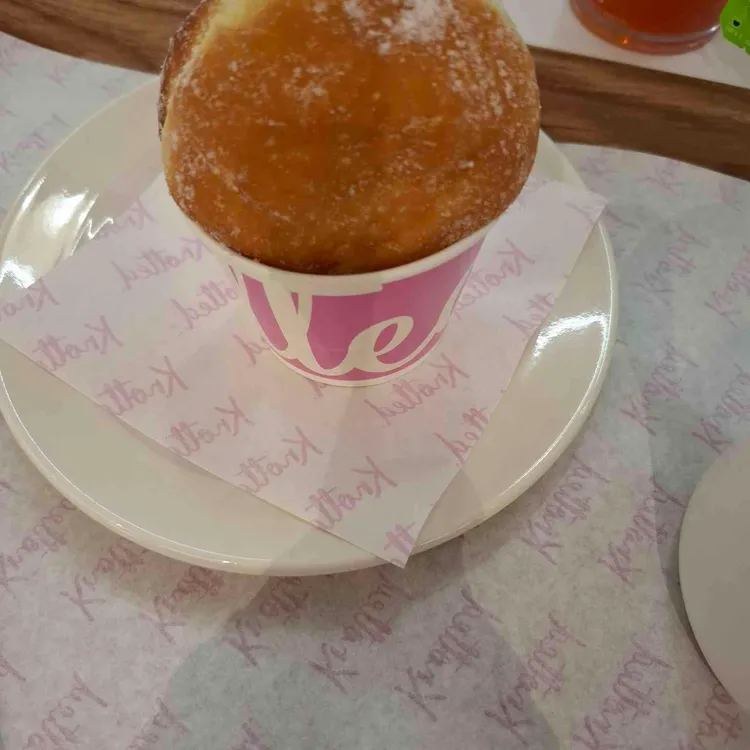 노티드 사진 1