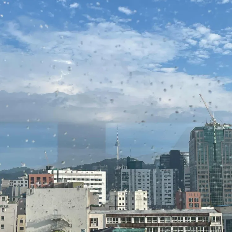 텅 사진 2