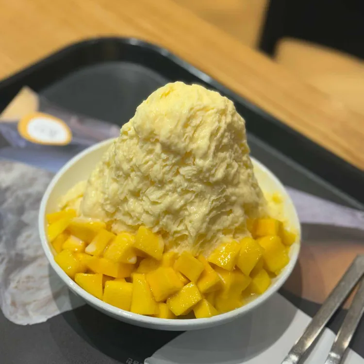 로이즈 사진 1