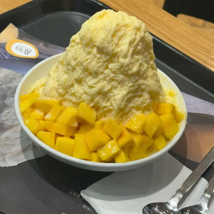 로이즈 사진 2