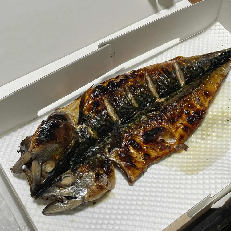 털보고된이 사진 2