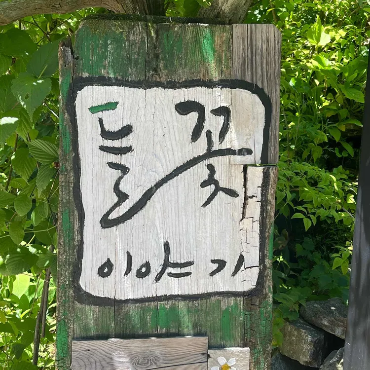 들꽃이야기 사진 1