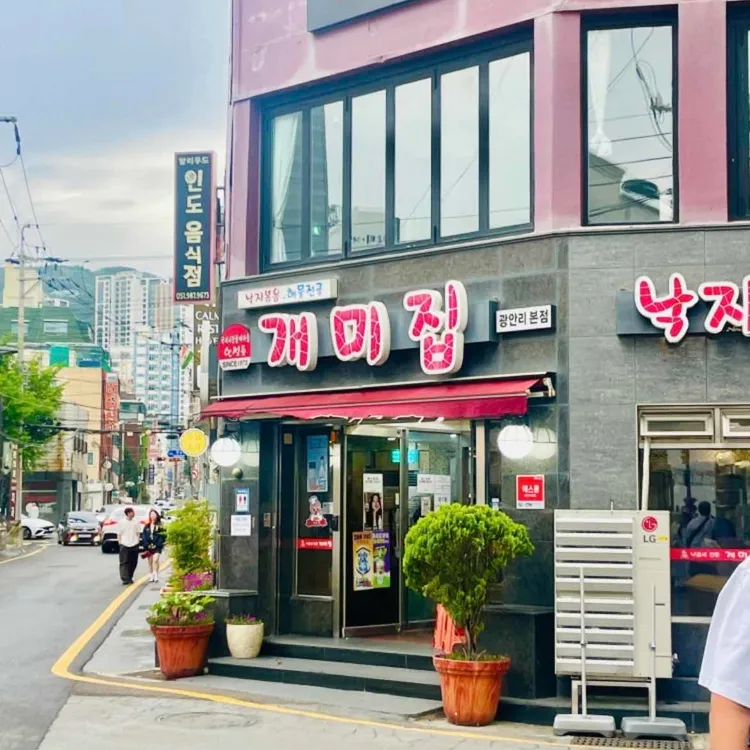 개미집 사진 2