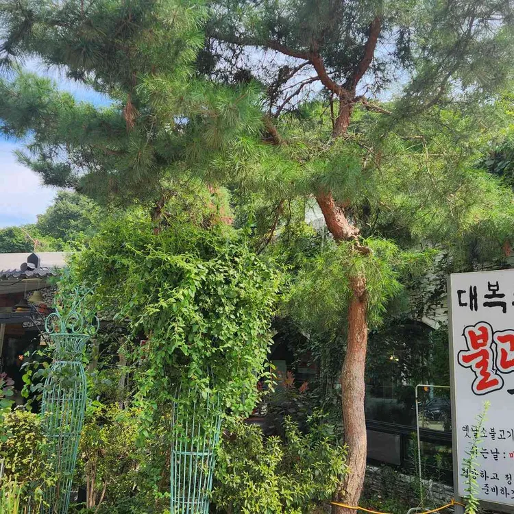 대복식당 불고기가게 사진 2