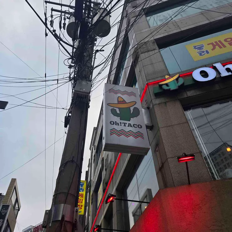 오타코 사진