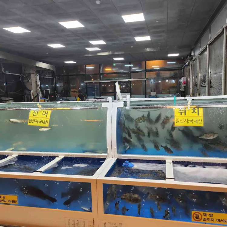 동부회센타 사진 2