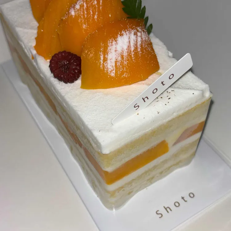 쇼토 사진