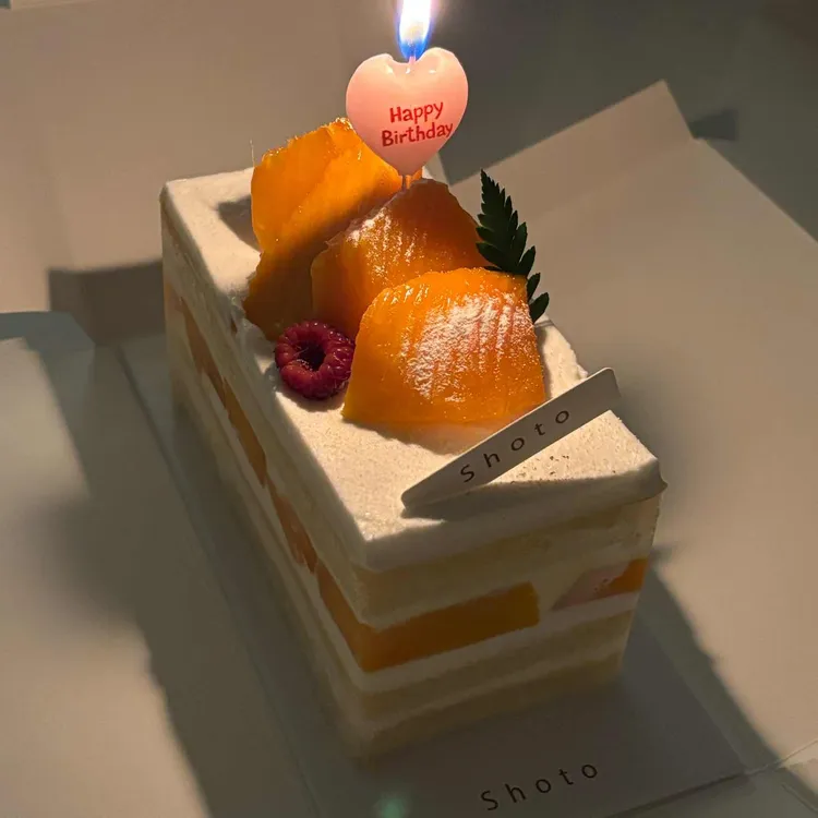 쇼토 사진 2