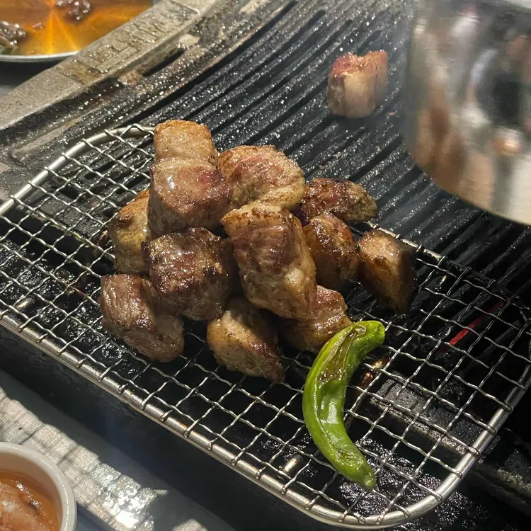 본디 사진