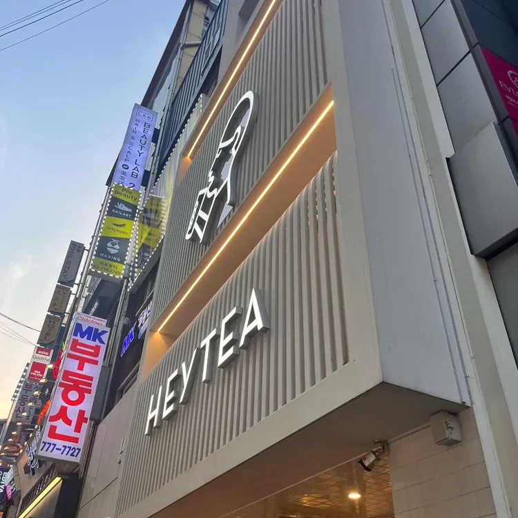 헤이티 사진