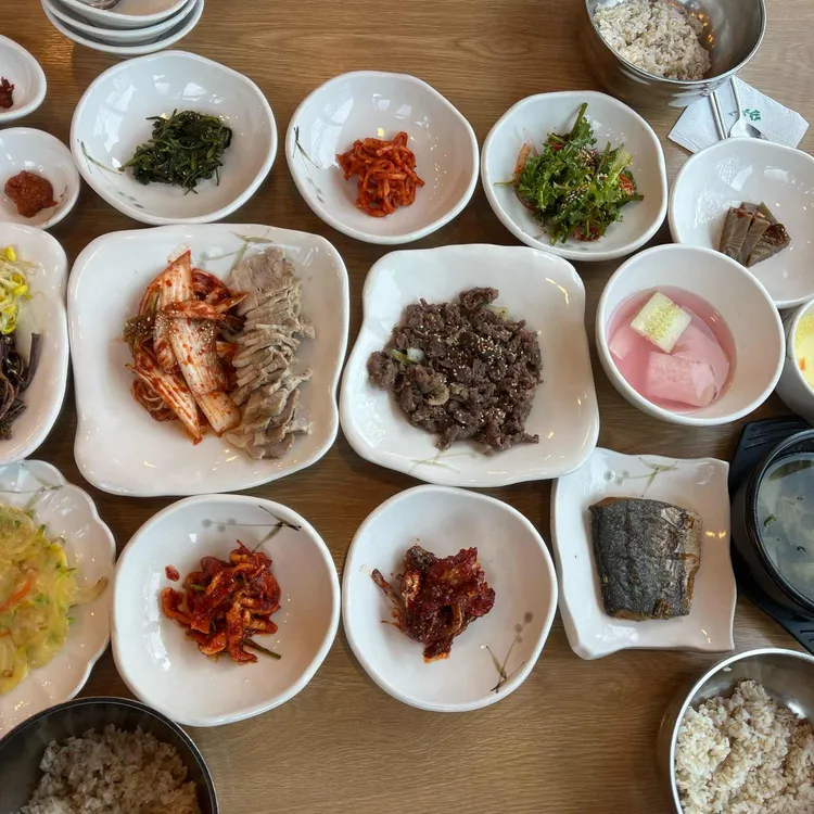 벽오동 사진