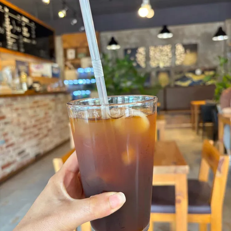 커피나무 대표 사진