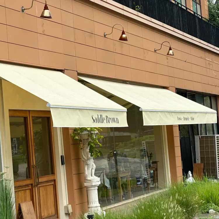 새들브라운 사진