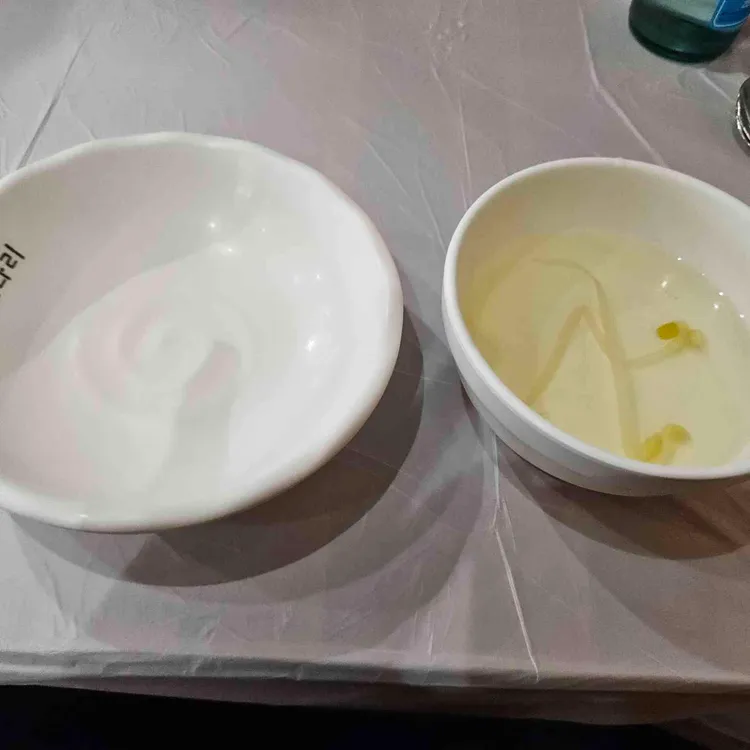 정코다리 대표 사진
