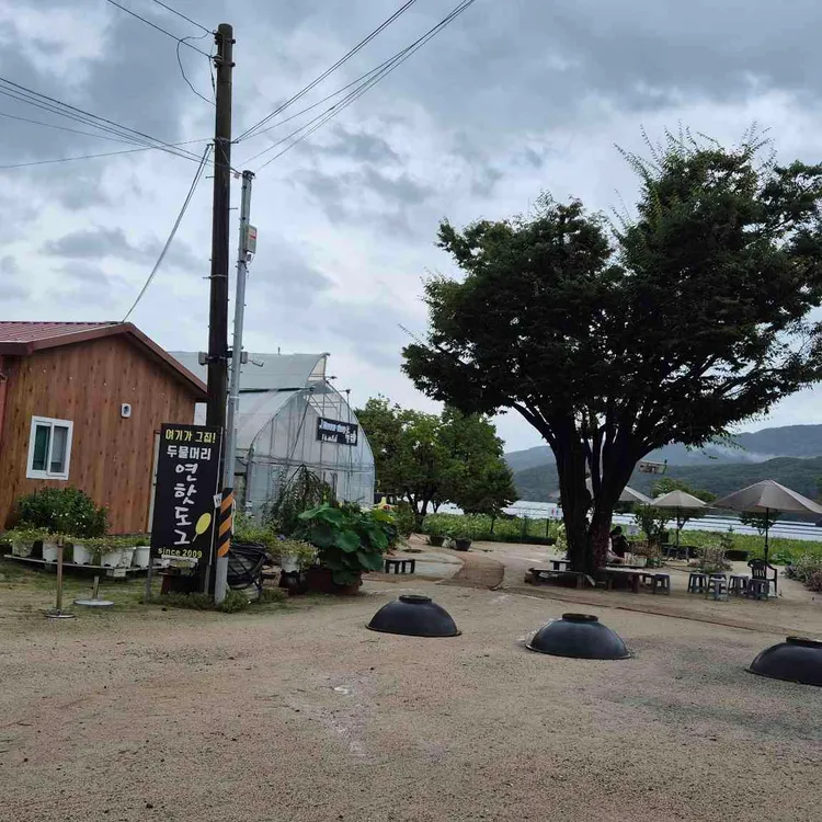 연핫도그 사진 2