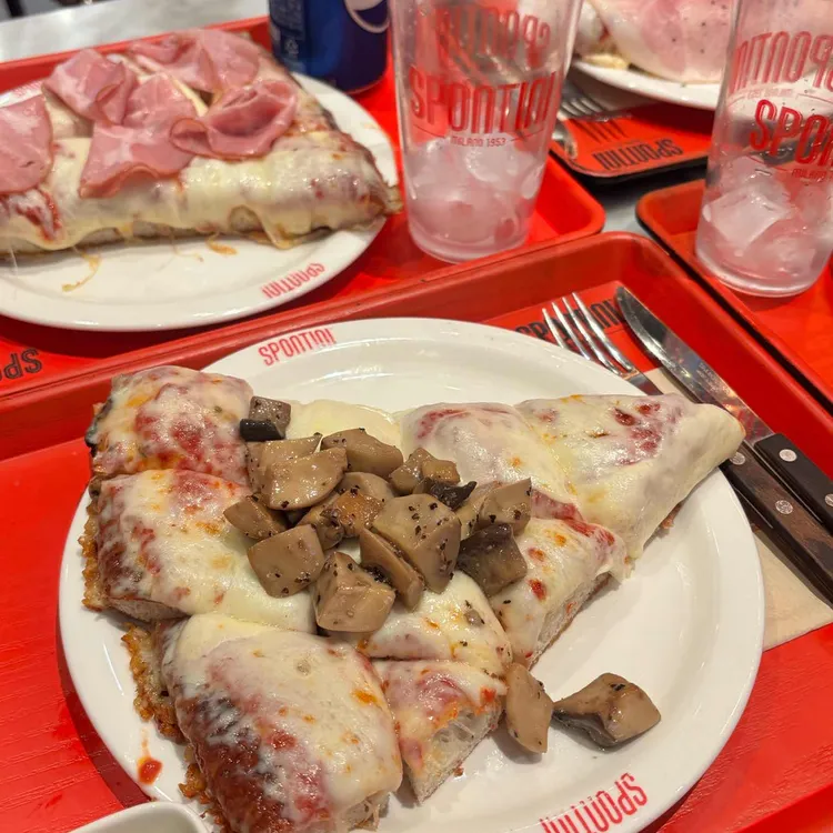 스폰티니 사진 2