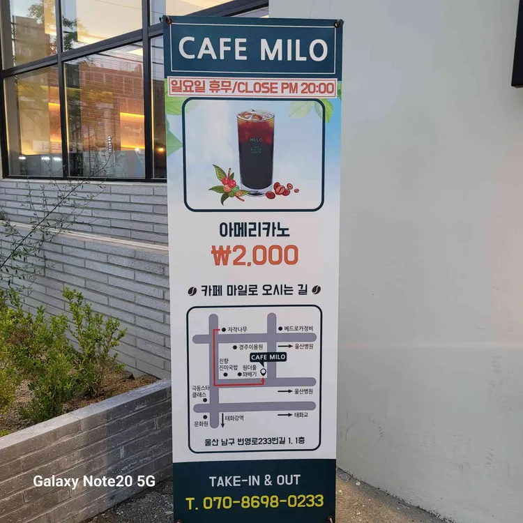 샤브자작나무 사진 2