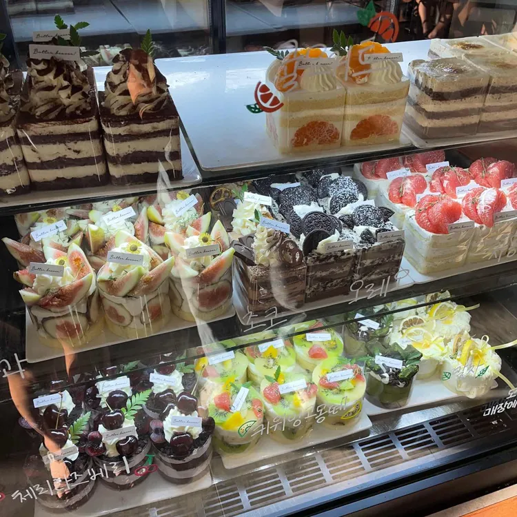 라운지피톤 대표 사진