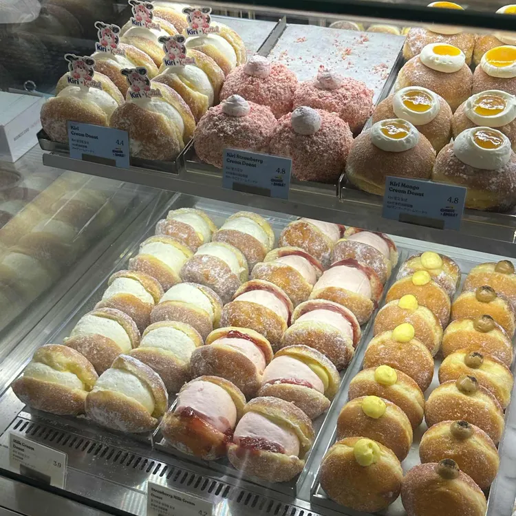 노티드 사진 1