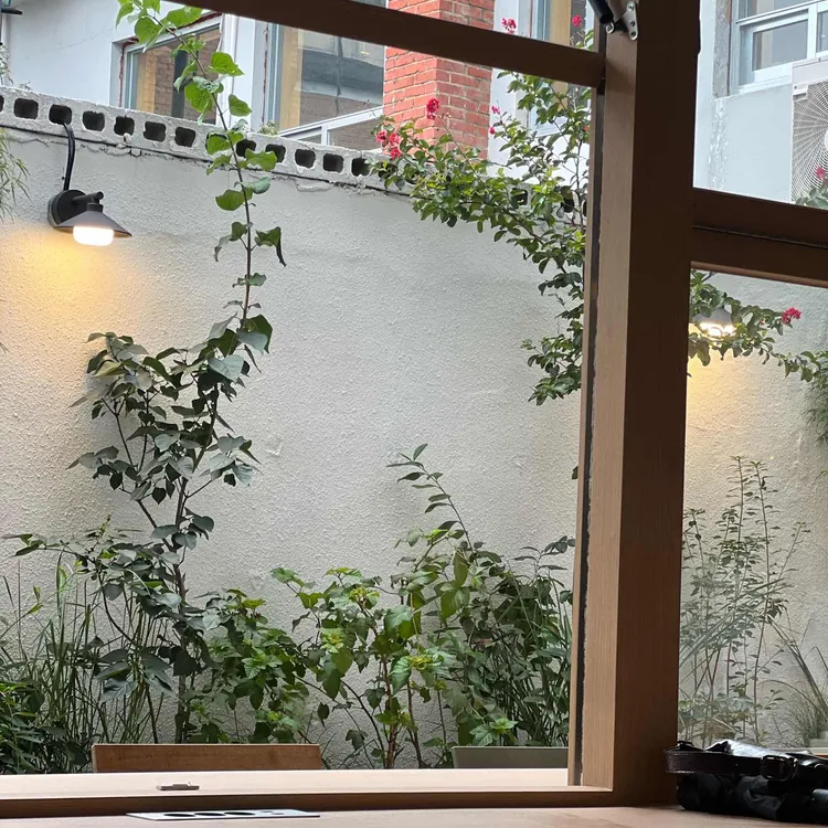 본지르르 사진 2