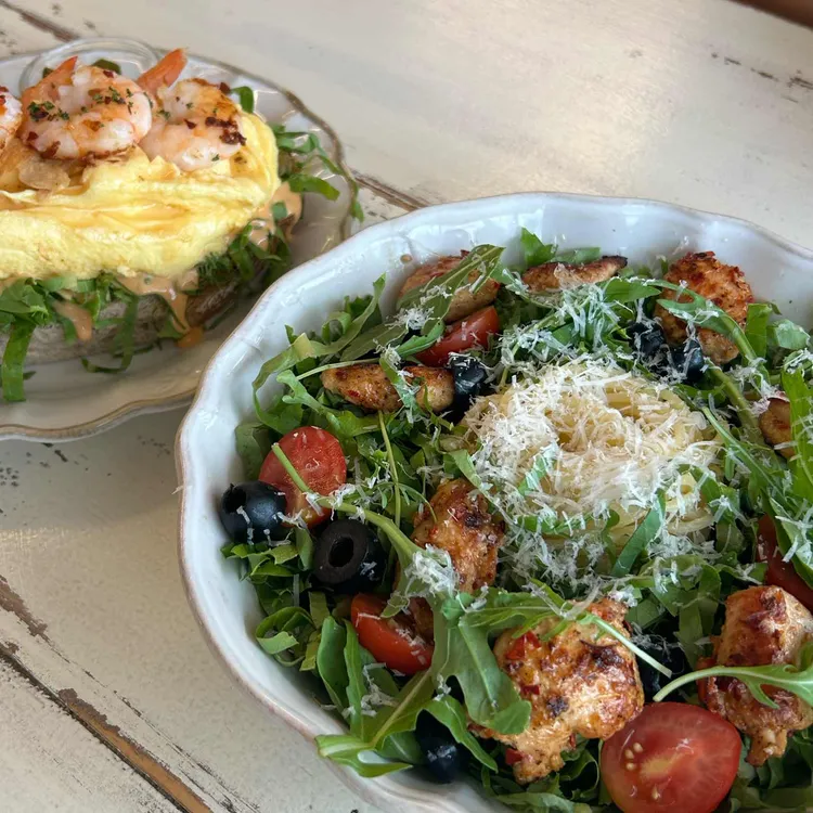 레이지크 해비탯 사진