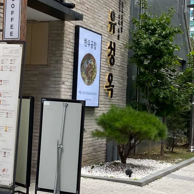 유성옥 대표 사진