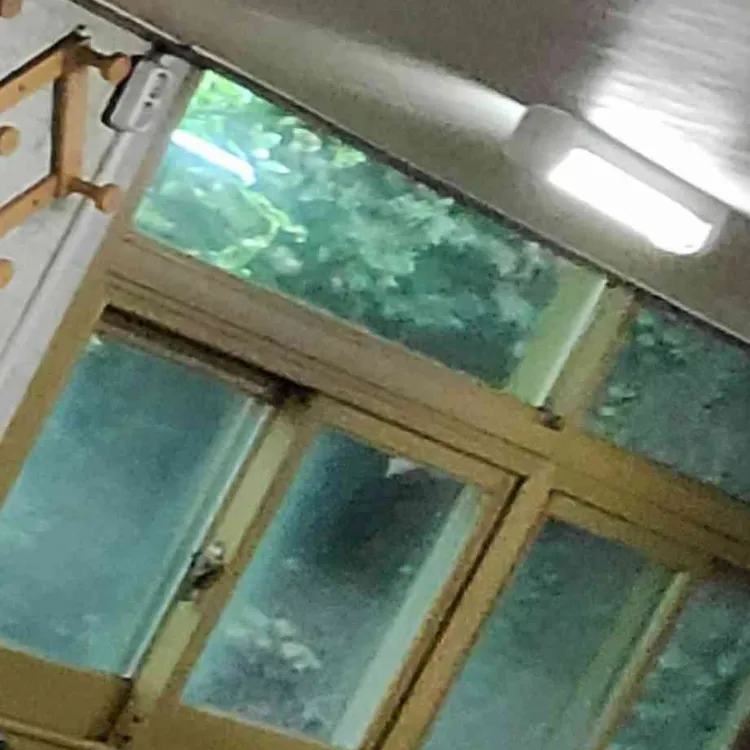 지천식당 대표 사진