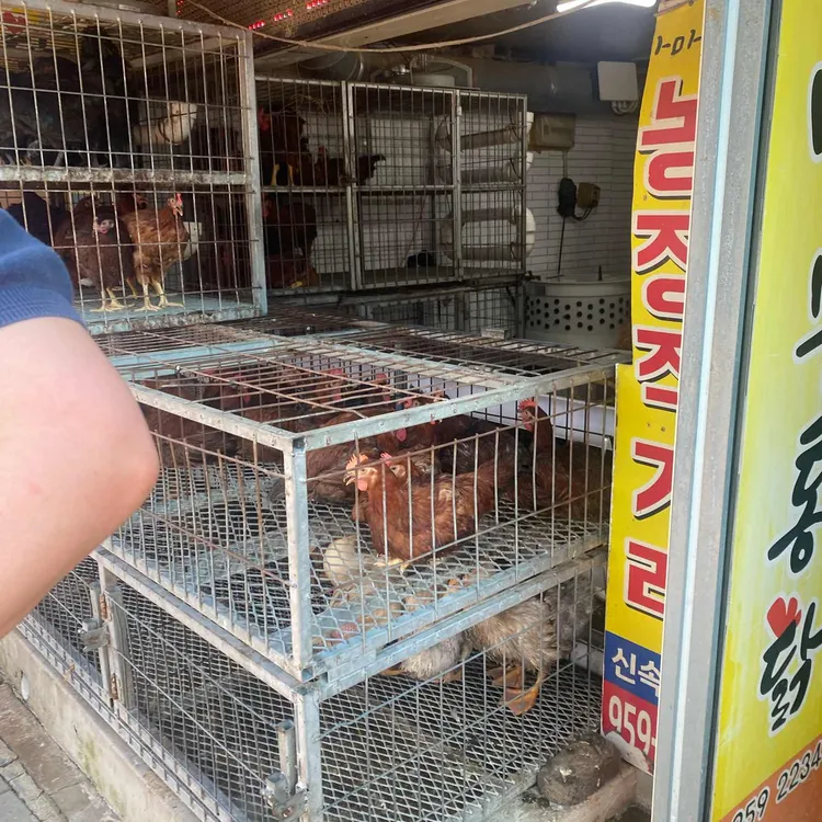 남부닭집 앤 남부통닭 대표 사진