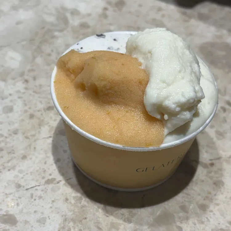 젤라떼리아 도도 사진