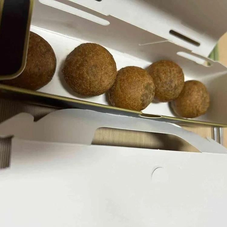 푸라닭 대표 사진