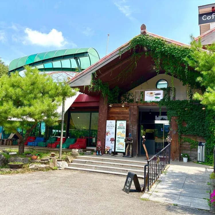 게으른악어 사진