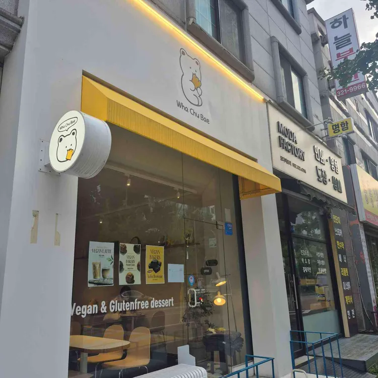 와츄베 대표 사진