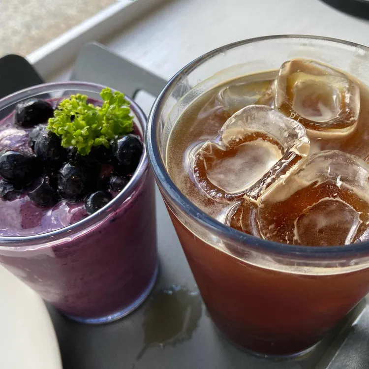 느티나무의 사랑 사진